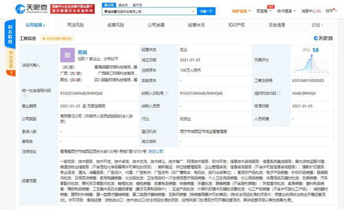 信息系統集成服務 企業數字化轉型的核心引擎